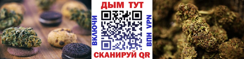 Купить где  Кинель  Canna-Cookies конопля 