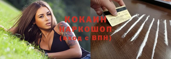 твердый Ельня