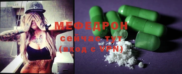 индика Елабуга