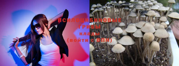 твердый Ельня