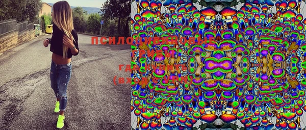 твердый Ельня