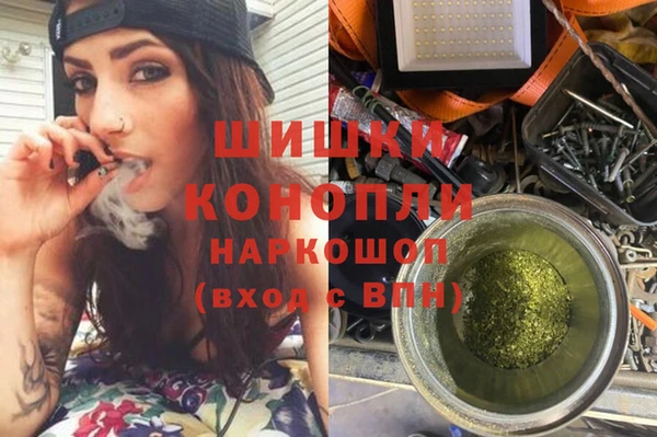 индика Елабуга