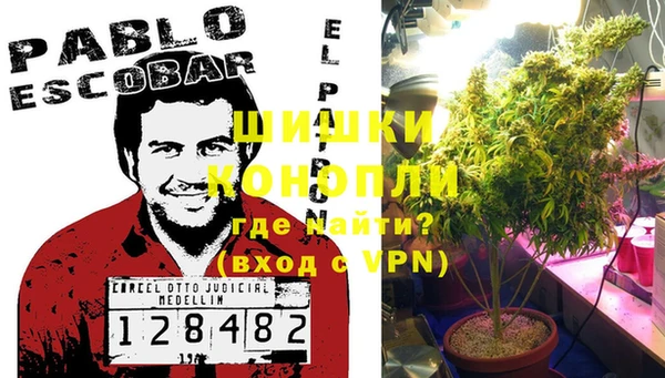 твердый Ельня