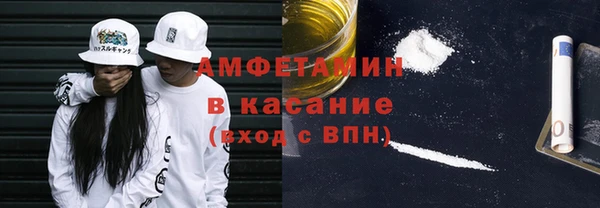 индика Елабуга