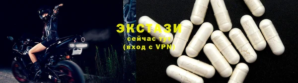 индика Елабуга