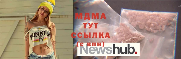 индика Елабуга