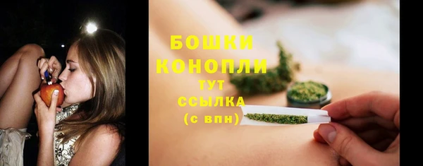 индика Елабуга