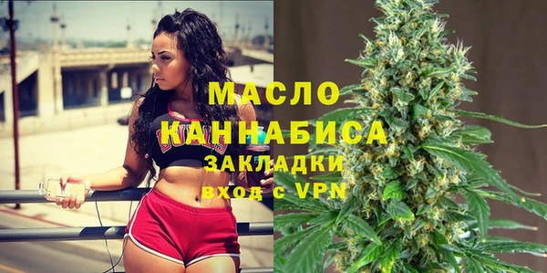 твердый Ельня