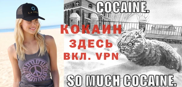 индика Елабуга