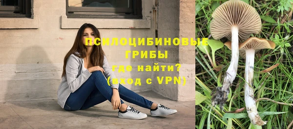 герыч Елизово
