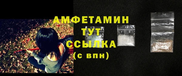 твердый Ельня