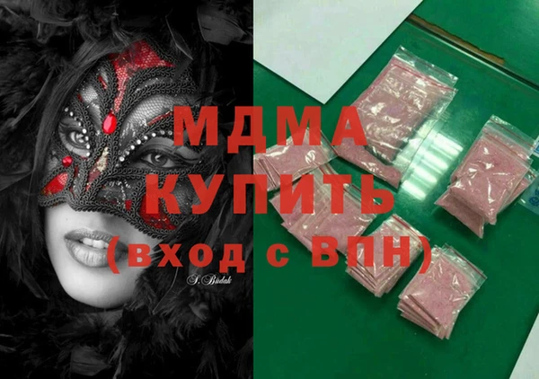 индика Елабуга