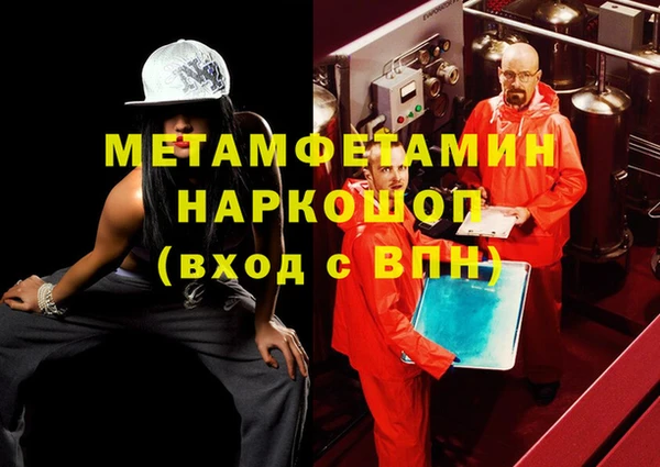 индика Елабуга