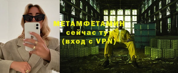 индика Елабуга
