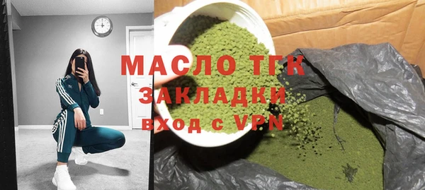 индика Елабуга