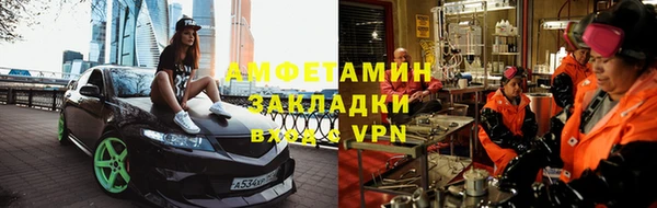 индика Елабуга
