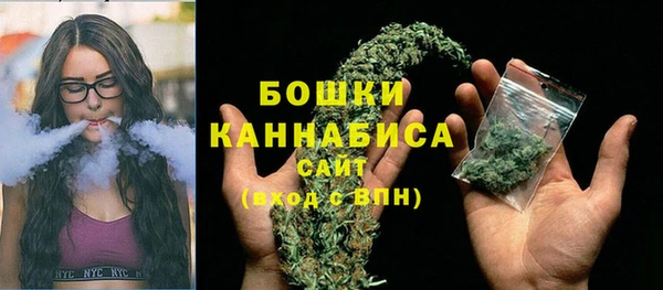 твердый Ельня