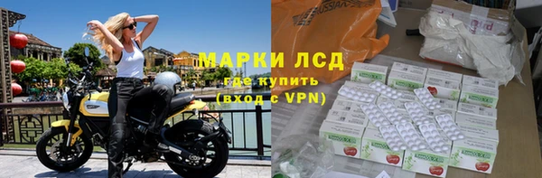 индика Елабуга