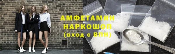 индика Елабуга