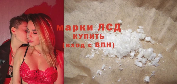 индика Елабуга